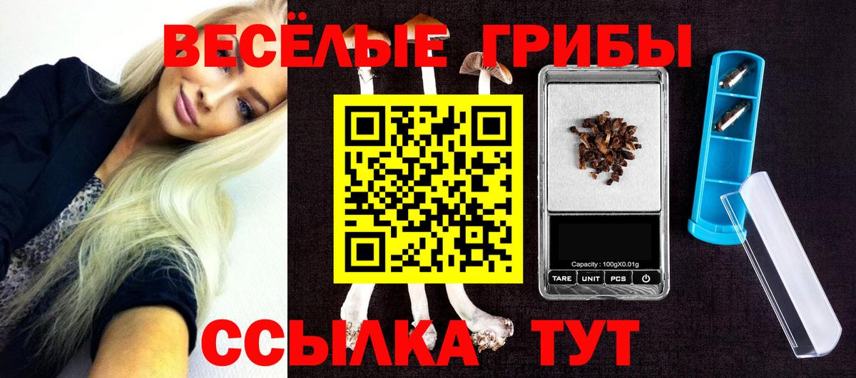 Галлюциногенные грибы Psilocybe Ачинск
